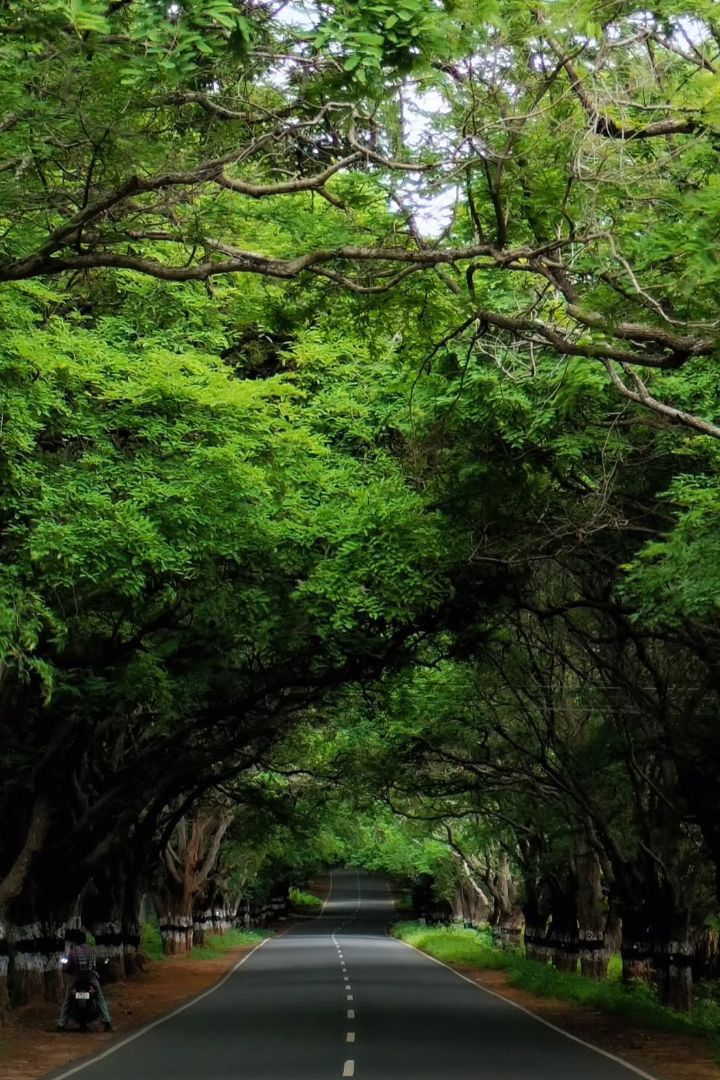 Nature & Abstract Shoot